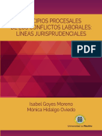 Principios Procesales PDF