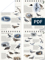 Las Gaviotas. Cuaderno de Identificación PDF