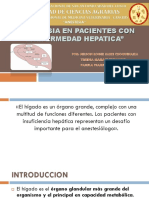 Exposición de Anestesia Veterinaria Hepático