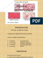 Tejidos Fundamentales.2