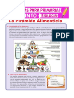 La Piramide Alimenticia para Quinto de Primaria PDF