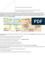 Bio Cheat Sheet