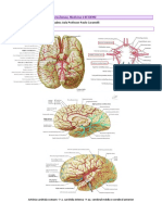 Acidente Vascular Encefálico PDF