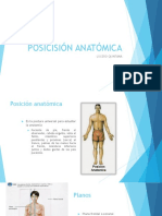 Posición Anatómica Con Respuestas