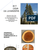 Ciencia y Tecnologia de La Madera