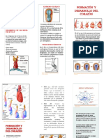 Folleto Cardio Mod