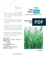 Folder Sorgo