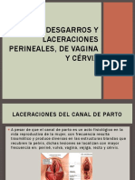 Desgarros y Laceraciones Perineales, de Vagina y