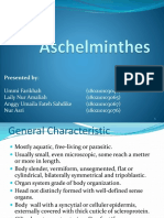 Aschelminthes