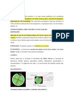 3.1 Patologías Del Oído Externo 1