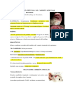 3 RESUMEN Pericondritis, Trauma, Cuerpos Extraños