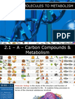07 - IB Biology (2020) - 2.1 - Molecules To Metabolism