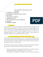 Tema Ampliación en Blanco y Negro