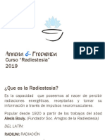 Presentación Péndulo - 2019 PDF