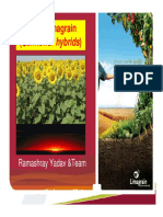 Presentation - Sunflower-MKT PDF