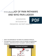 Physiology of Pain Pathways and Who Pain Ladder