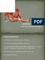 Aula 1 Sistema Muscular e Articular PDF