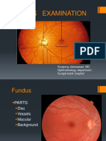 Fundus Exam Hat