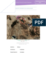 Informe Topografico de Qochas