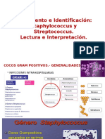 Aislamiento e Identificación de Staphylococcus y Streptococcus