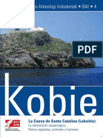 Kobie BAI 4 Web PDF