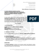 Dictamen Psicologico PGR PDF