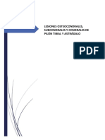 Lesiones Osteocondrales Condrales Subcondrales