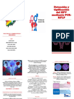 Triptico VPH