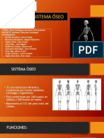 Sistema Óseo