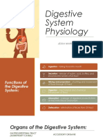 Digestive System Physiology