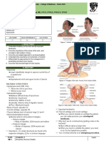 B20M3L5 - Neck Injuries