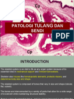 Patologi Tulang Dan Sendi