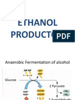 Ethanolproduction 161022060734 PDF