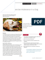 Weakness & Exercise Intolerance in A Dog