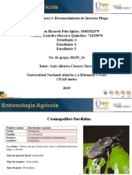 Unidad 2 - Tarea 3. Reconocimiento de Insectos Plaga. Actual