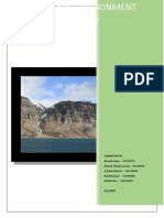 Sedimentary Facies and Environment