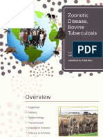 Zoonotic Disease, Bovine Tuberculosis: Submitted To: DR Momin Khan Submitted By: Falak Niaz