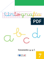 Ortografia Basica 7 - Dylar PDF