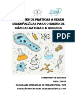 Manual Aula Pratica PDF