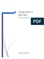 Abhay Enzyme Eng. Assignment PDF