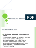 Morphology