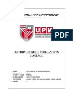 Antrachnose of Chili and Its Control