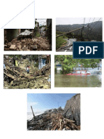 Impacto de los fenomens naturales y vulnerabilidad,impacto de los fenomeno snaturales,situacion ecologica de Centro America con su MAPA DE IDEAS