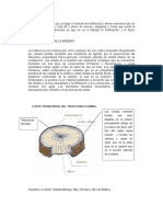 Caracteriticas Ingenieriles de La Madera-Y PDF