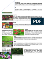 Tipos de Plantas Ornamentales y Algunos Beneficios