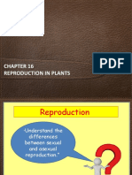 Reproduction in Plants