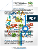 Guia Excreción 7°