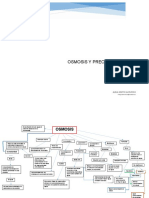 Mapa Conseptual Osmosis