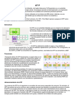 Estructura: Transporte Activo: El ATP Desempeña Un Papel Crítico en El