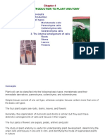 Chapter 4 - Cell and Tissue